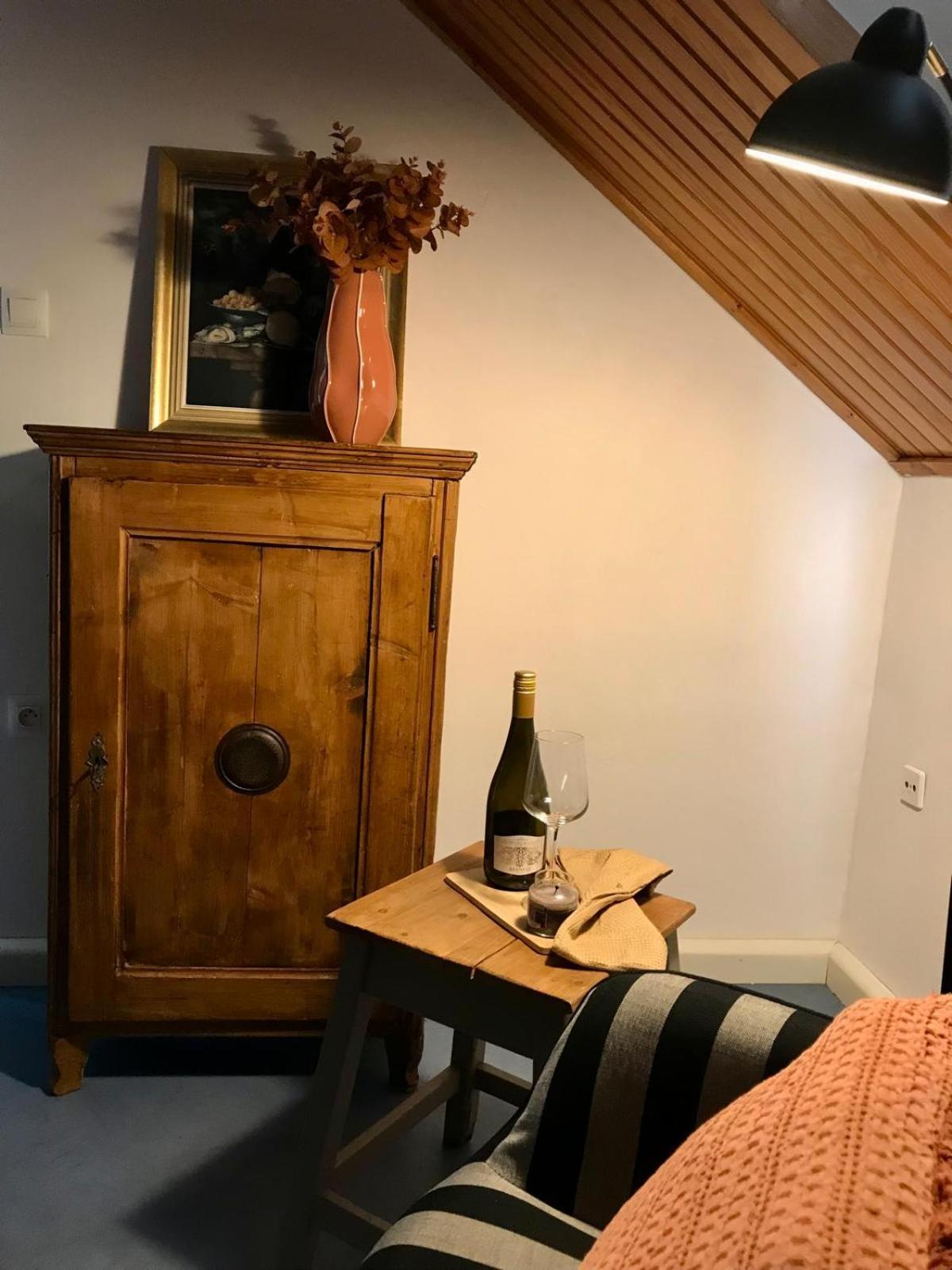 3 Minuty Od Zizkova Namesti Apartment